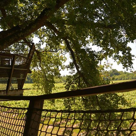 Cabanes De La Romaningue Pompignac المظهر الخارجي الصورة